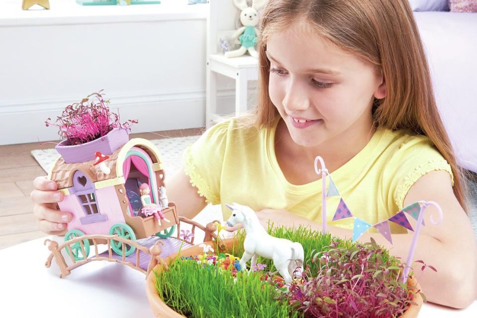 Miniature gardens.