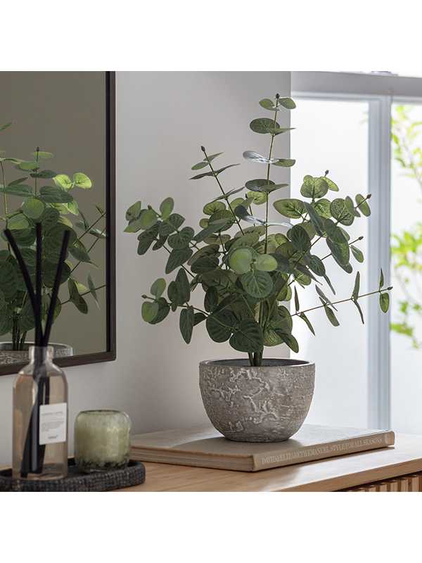 Plant up your pad.