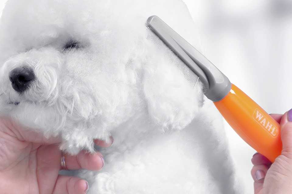 Summer grooming.