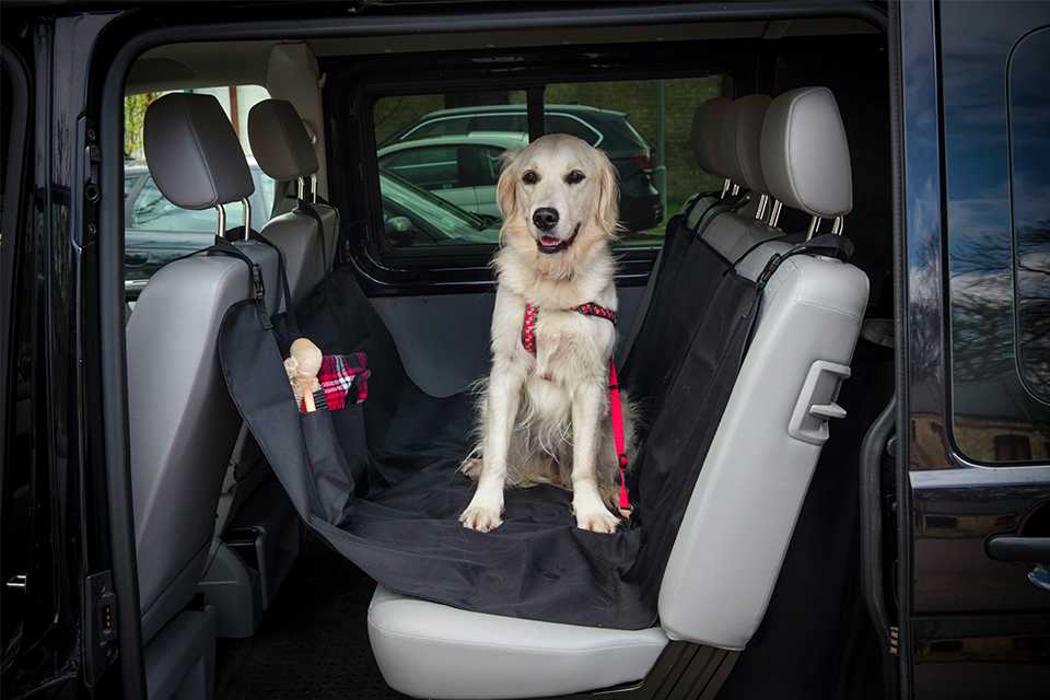 A dog sitting on a car seat covered with Petface pet seat cover.