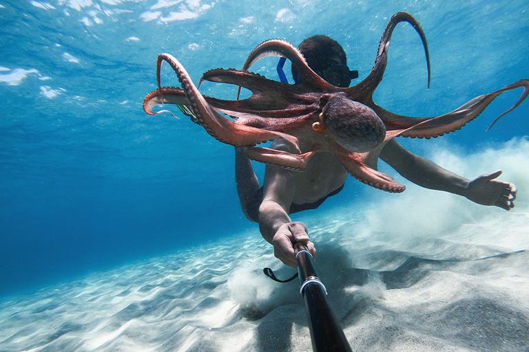 Welcome to GoPro.