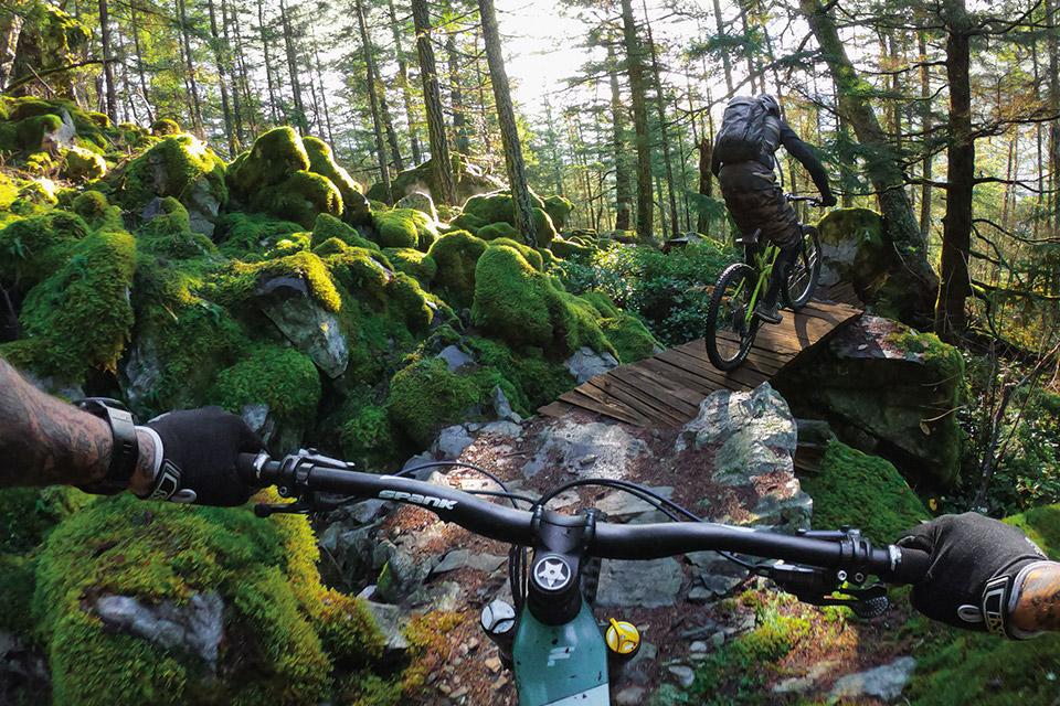 Image shows a rugged bike trail lined with leafy greenery, seen from behind the handlebars of a mountain biker.