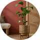 Pots and planters.