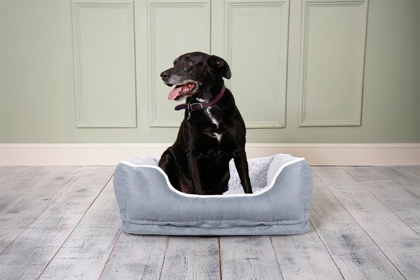 Save up to 1/3 on selected pet products. Includes dog beds, cat scratchers and more.