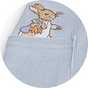 Peter Rabbit.