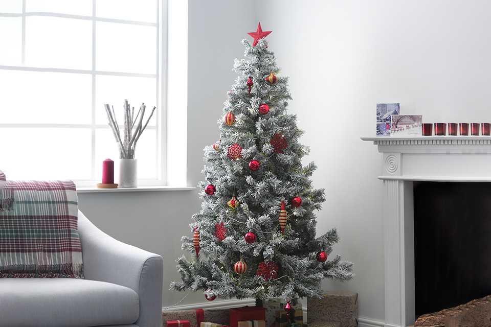Christmas trees.