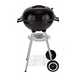 BBQs under £100.