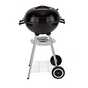 BBQs under £100.