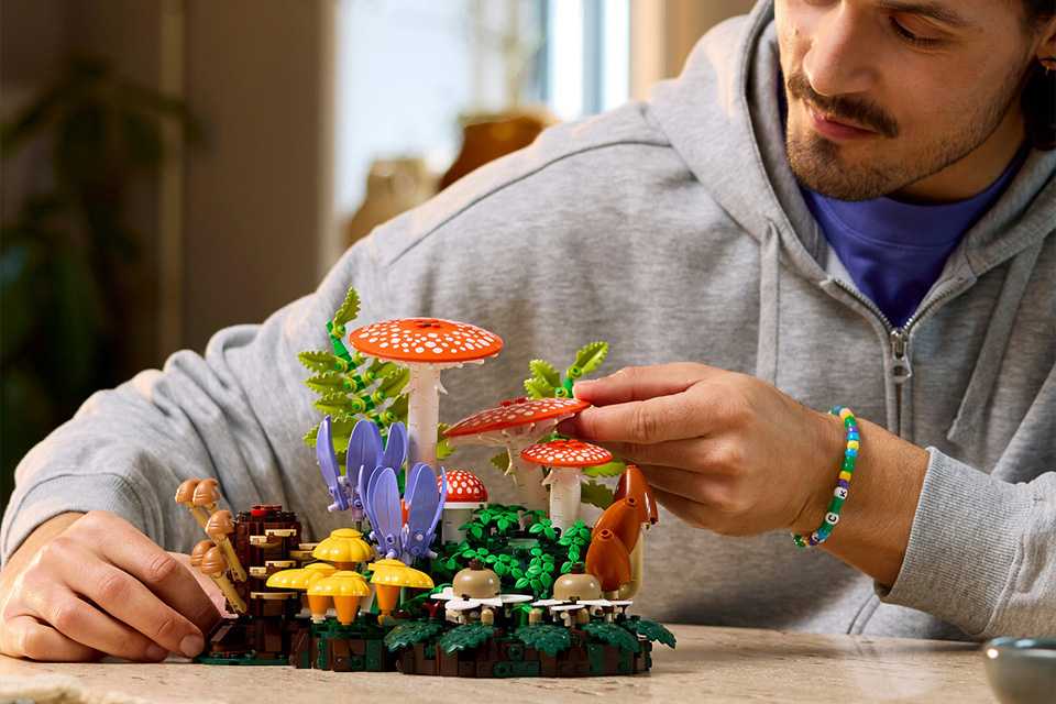 Fan & Collectors. Who said toys are just for Kids!
