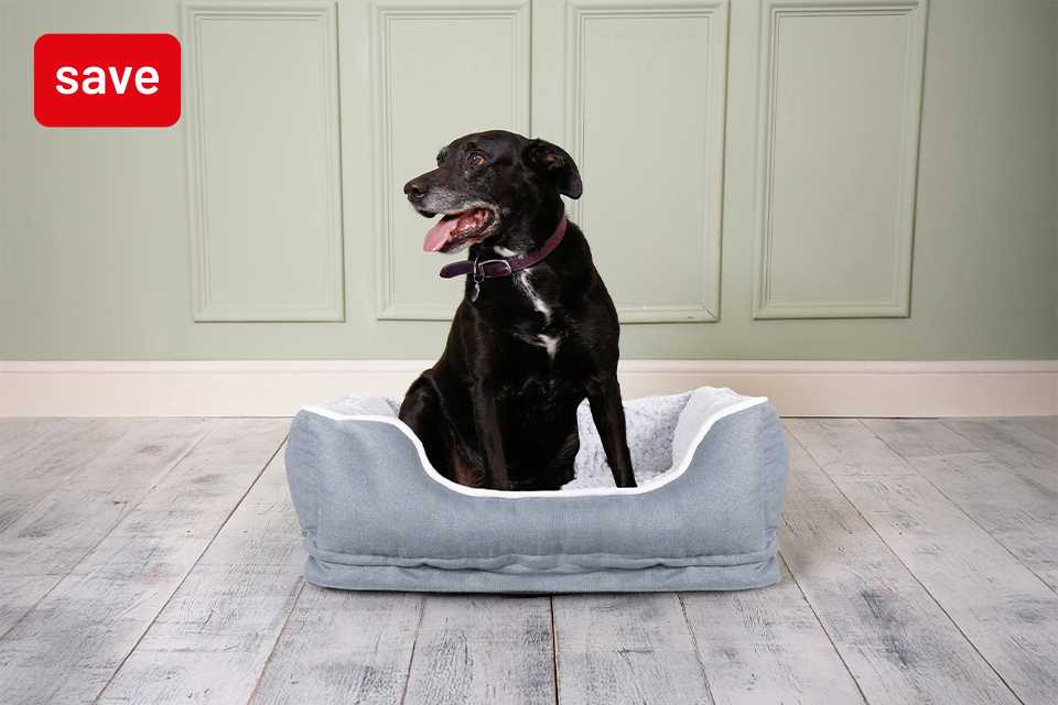 Save up to 1/3 on selected pet lines. Includes dog beds, cat scratchers and more.
