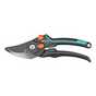 Cutting and pruning.