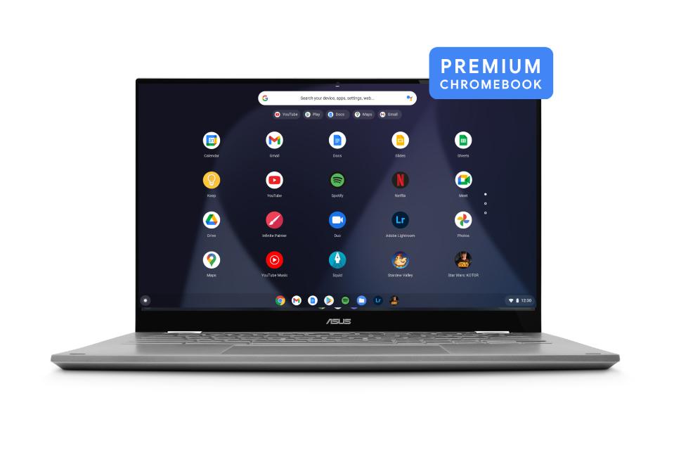 Premium Chromebooks.