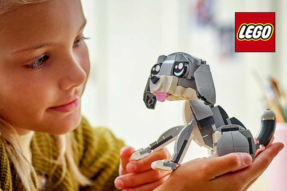 2 for £20 on selected LEGO® sets.