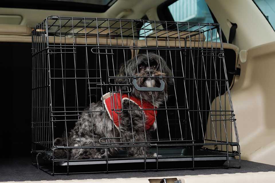 Streetwize dog crate for car boot in small size.