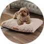 A dog sitting on a Paws For Slumber Sherpa natural pet bed in small size.