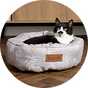 A cat sitting on a small sized Scruffs taupe coloured botanical ring bed.