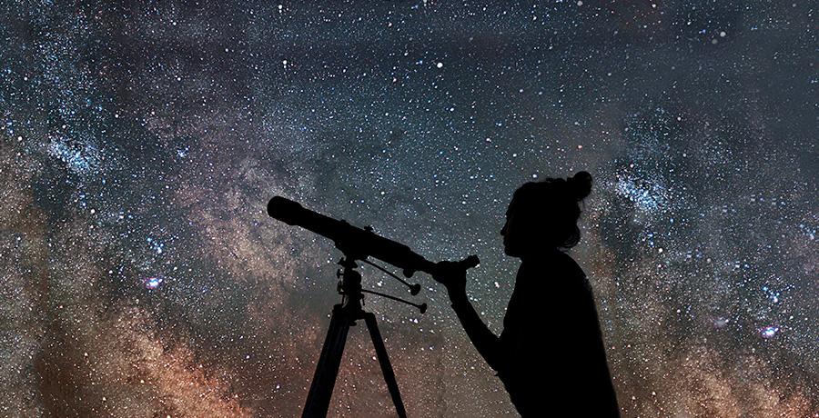 The stars.