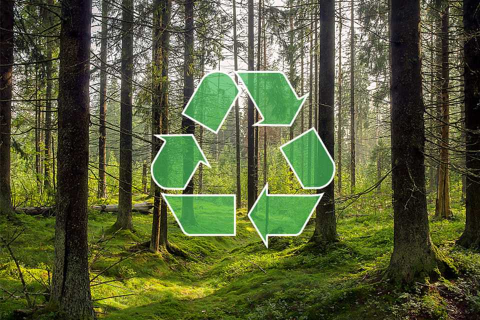 Recycling logo in green embedded on an image showing greenery and foliage.