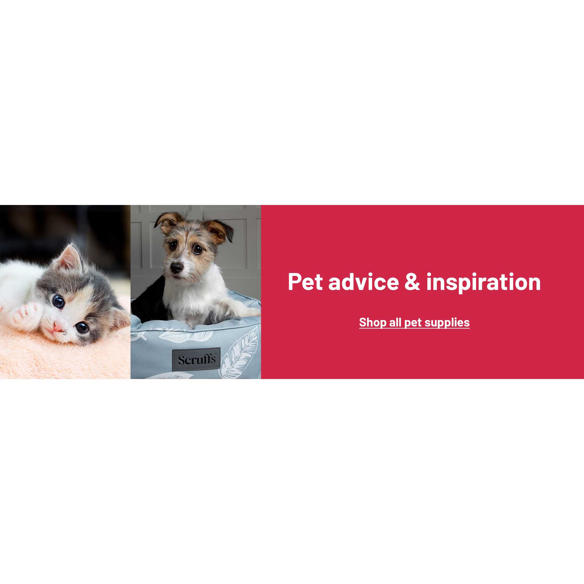A split image of a tiny kitten on one side and a dog sitting on Scruffs botanical grey ring bed on other side.
