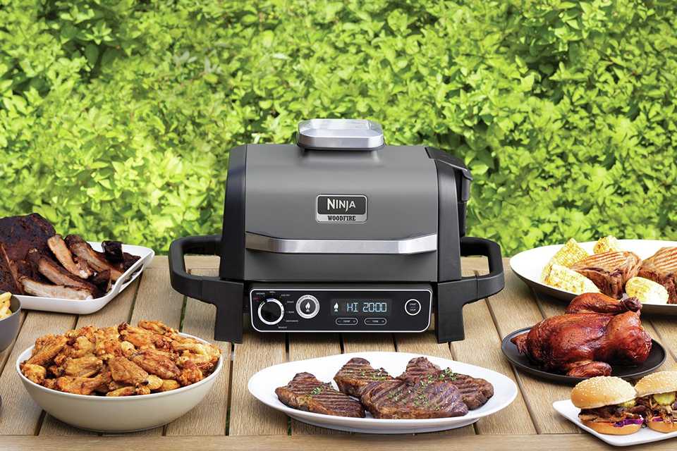 Ninja OG701UK Woodfire Electric BBQ Grill & Smoker.