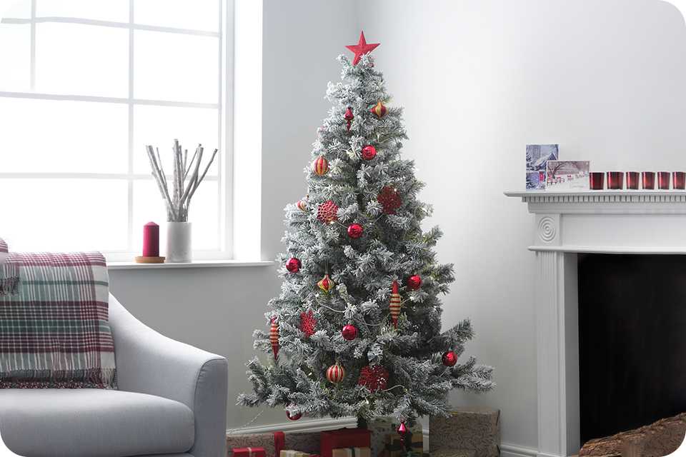 Christmas trees. Find the perfect tree for your space.