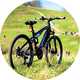 Cross DXT700 26 inch Wheel Size Mens Mountain Bike.