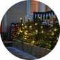 Bushes near a house decorated with Habitat Christmas tree path finder lights.