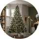 Christmas trees.