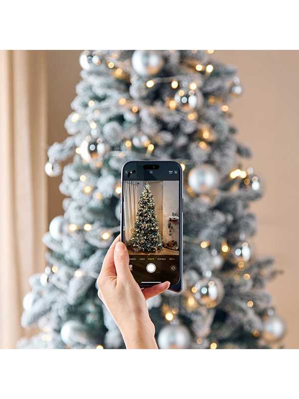 Christmas tree shopping leveled up. Point your phone, place the tree, and fall in love.