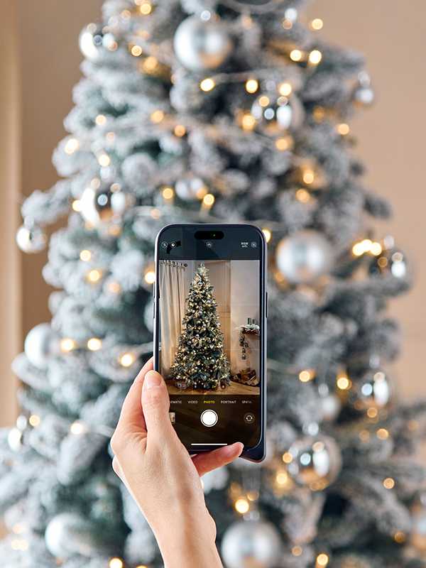 Christmas tree shopping, leveled up.