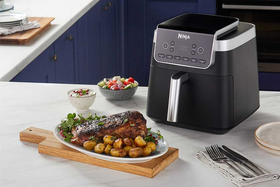 Air fried meat and veggies on a plate next to a Ninja air fryer.