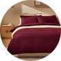 Habitat Cotton 200 TC Plain Burgundy Bedding Set.