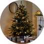 6ft Christmas trees.