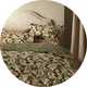 Habitat morris collection bedding.
