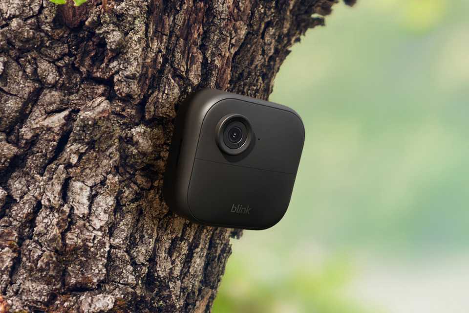 A black Blink Outdoor 4 camera installed on a tree trunk.