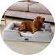 Dog beds.