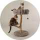 Cat scratchers.