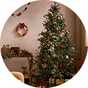 Christmas decorations.
