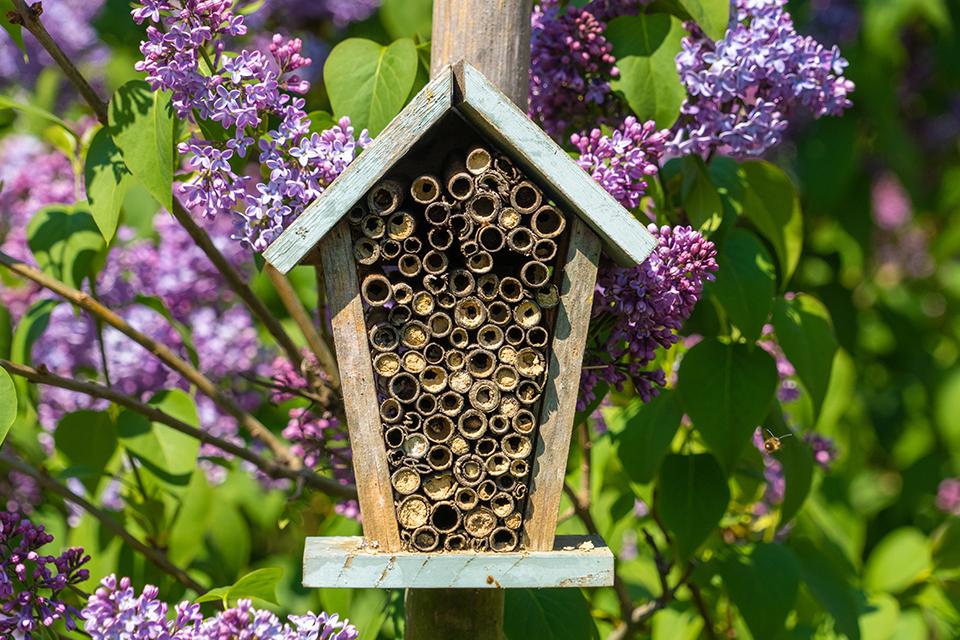 A wooden bee house attached to a wooden pole.