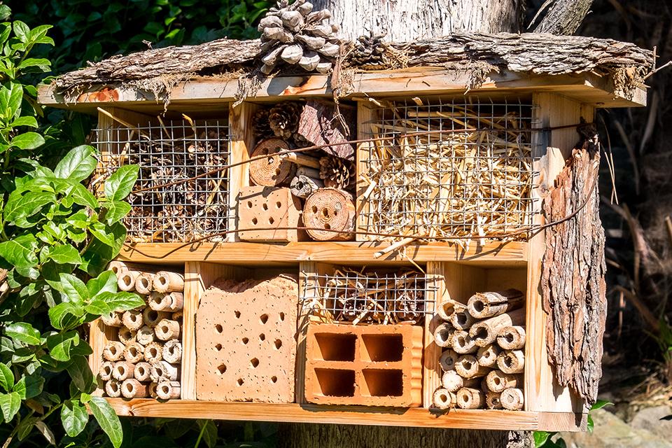 A homemade bug house made from wood, bricks and twigs.