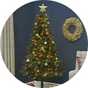 Christmas trees.