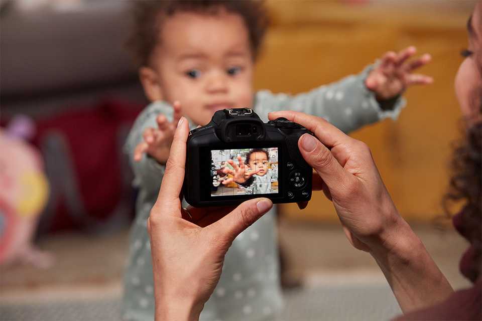 Interchangeable lens cameras.