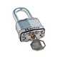 Padlocks & locks.