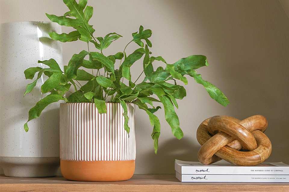 A Habitat hand painted terracotta large planter near a book and a showpiece.