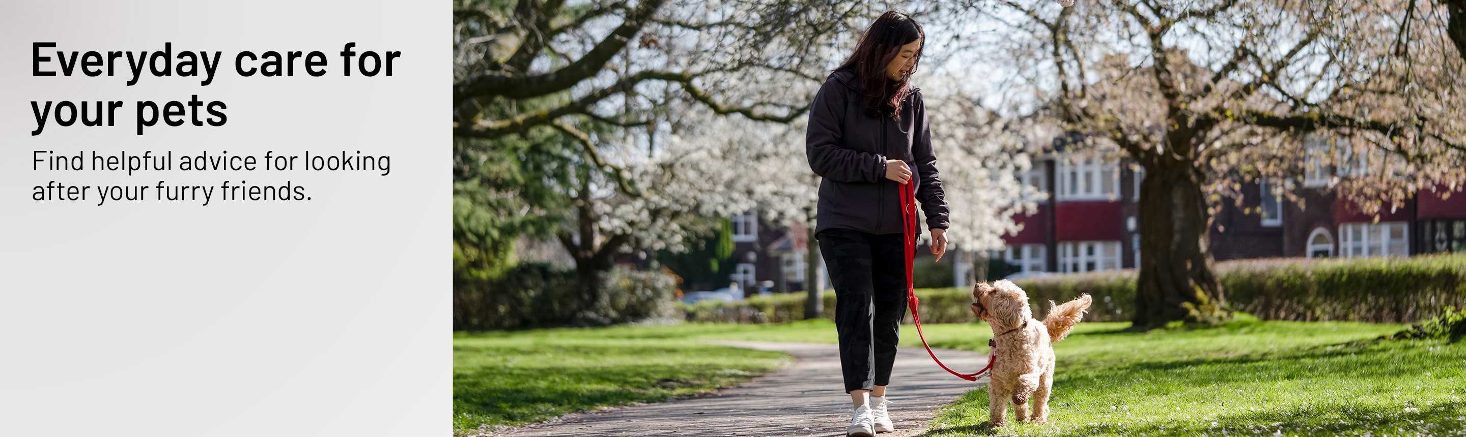 A woman walking with her dog in a park.