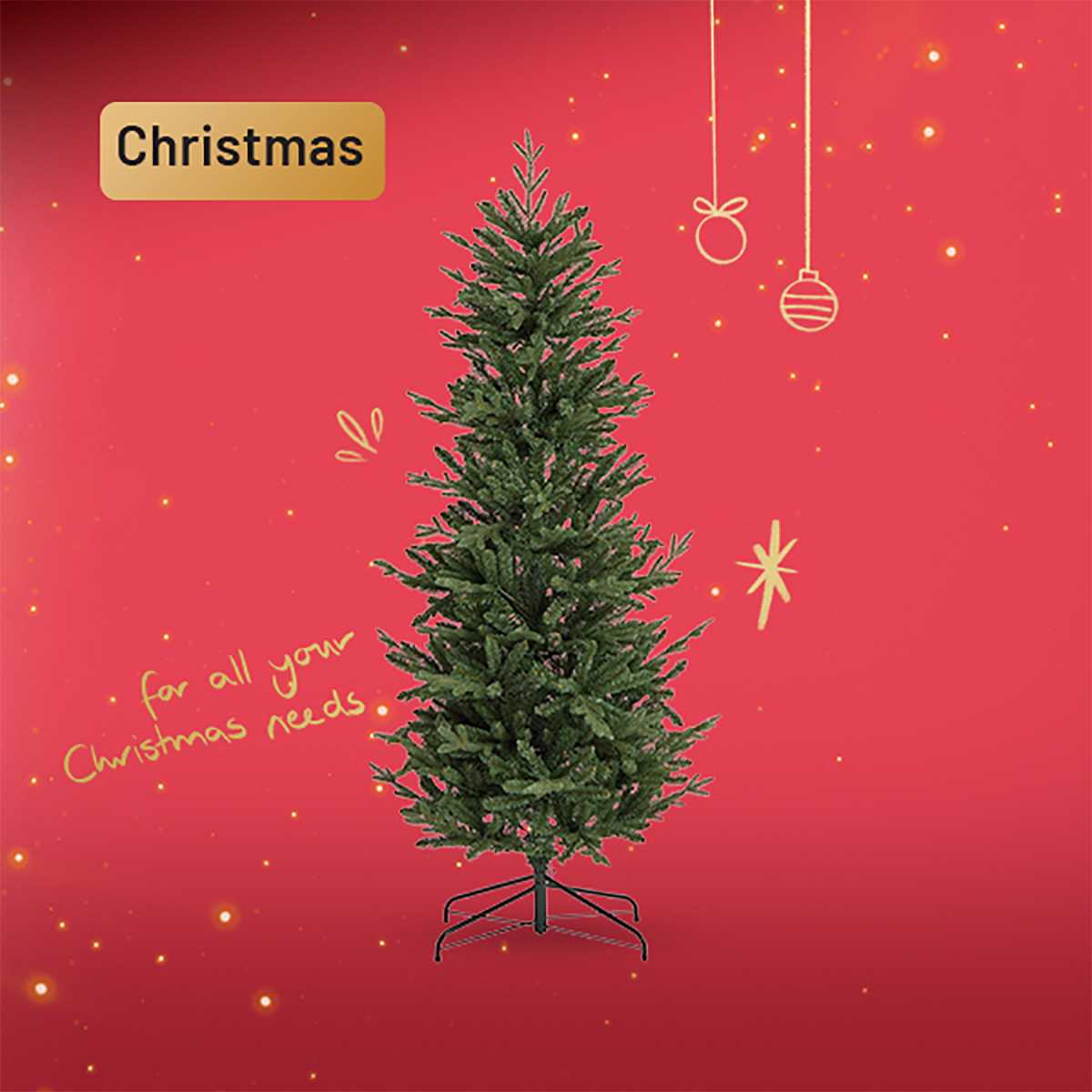 Our Christmas shop is open. Gifts, decorations and festive favourites, all in one place.