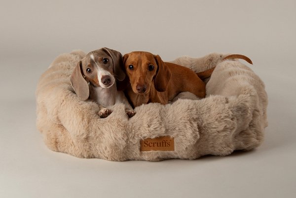 The Big Red Event. Save on selected pet lines. Use codes RED10, RED20 or RED30.
