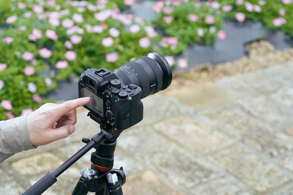 A person shooting flowers via Sony's touch camera.