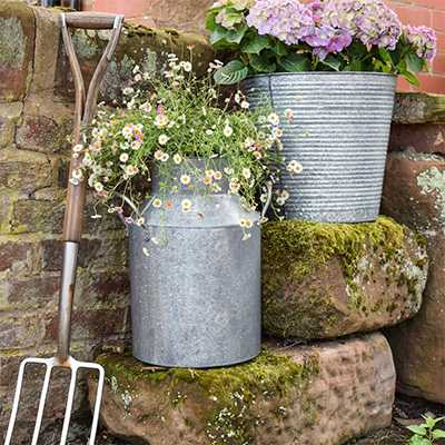 Ivyline 43cm Galvanised Milk Churn.