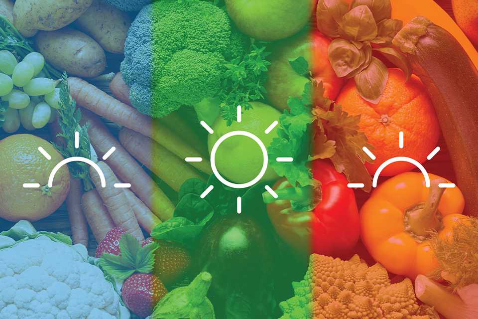 Fresh vegetables in sections with sun icons showing lighting and freshness of VitalCare technology.